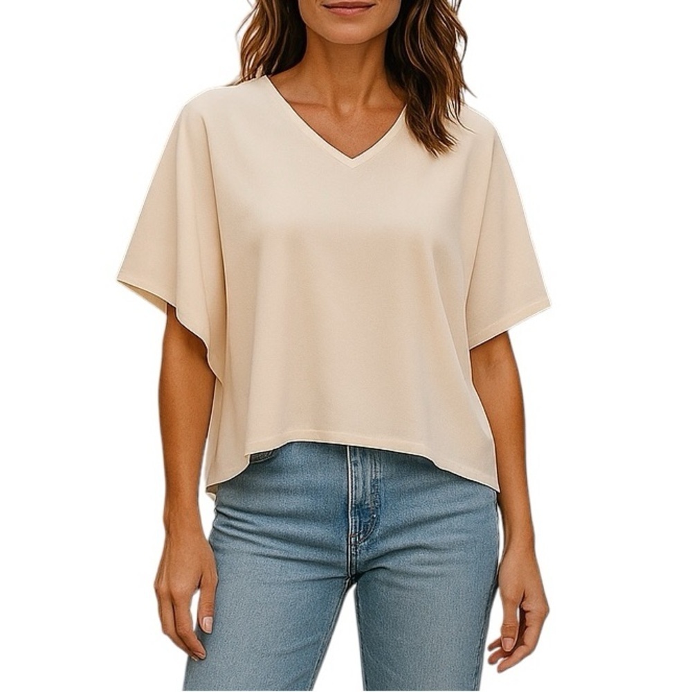 Aritzia Babaton Oversized Andy Blouse